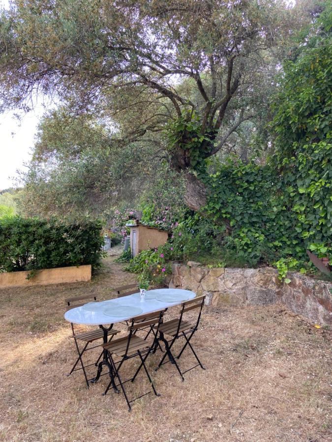 Seaview Garden Villa LʼÎle-Rousse Esterno foto